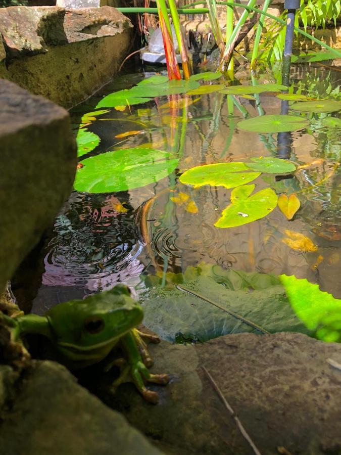 Whitsundays Bnb Retreat Bed and Breakfast Airlie Beach Eksteriør billede